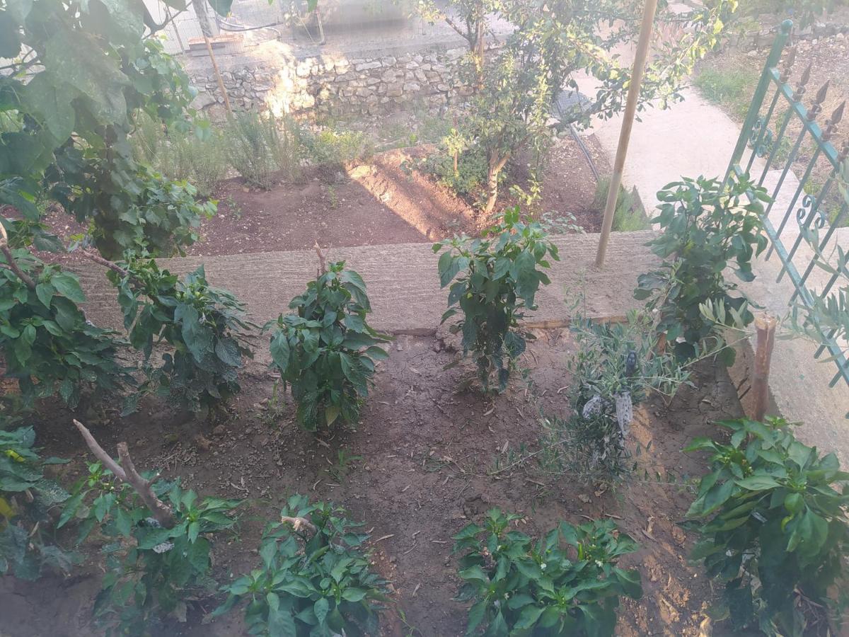 فيلا Shehu'S House ساراندا المظهر الخارجي الصورة